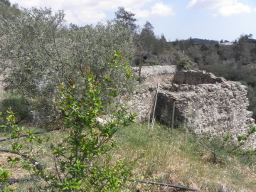 Φωτογραφικό Άλμπουμ Κόρνου